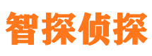 桦南外遇出轨调查取证